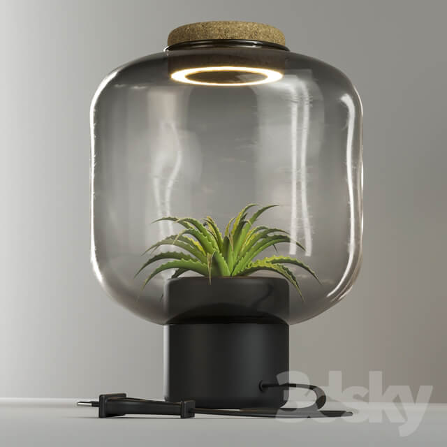 The plant lamp