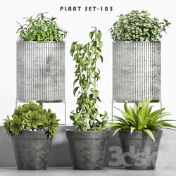plant set 105 