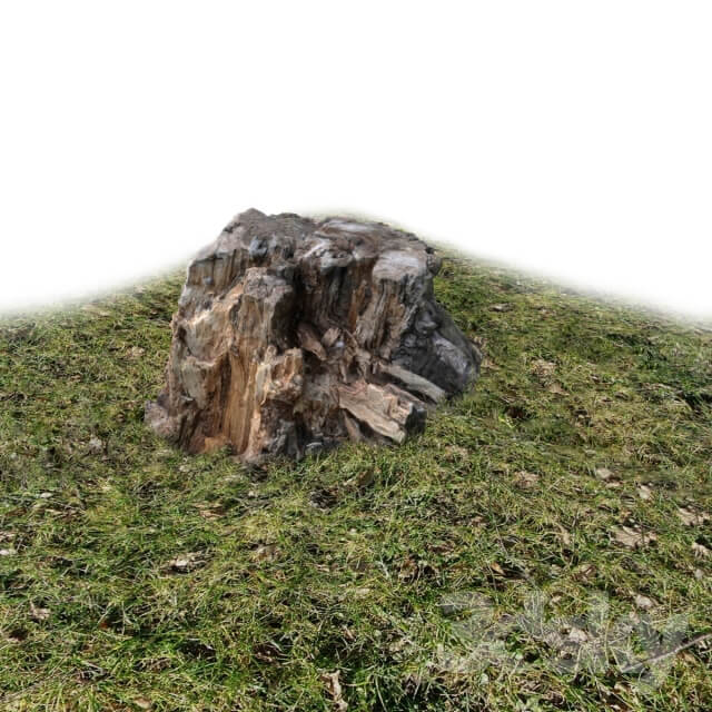 Other architectural elements Stump exterior