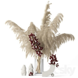 Pampas grass and Cymbidium 