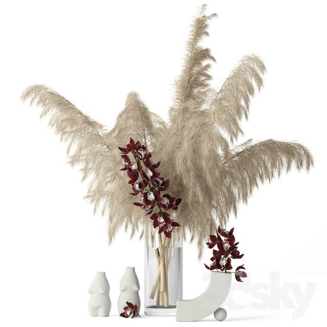 Pampas grass and Cymbidium