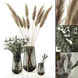 Plants in Echasse Vases 