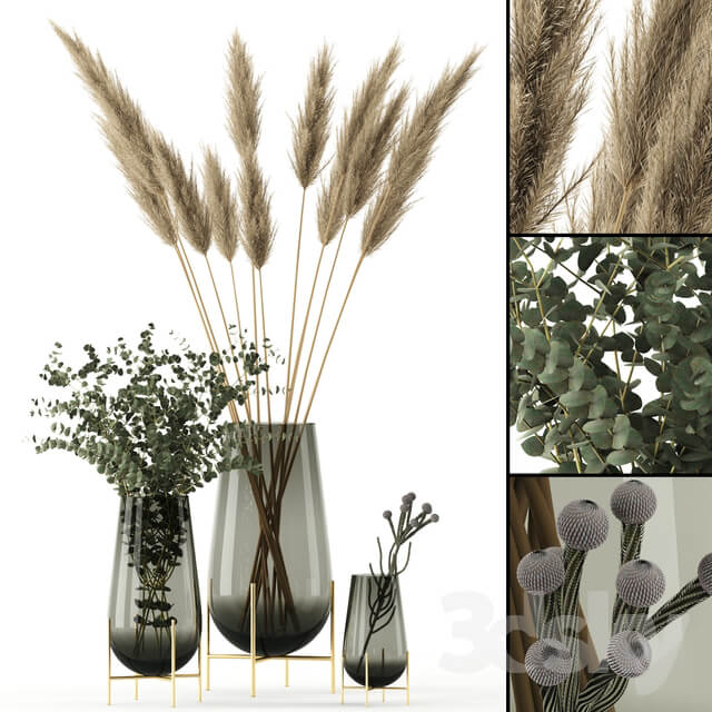 Plants in Echasse Vases