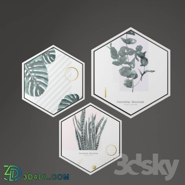 Hexagonal picture frames