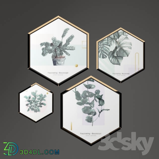 Hexagonal picture frames