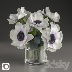 Bouquet of anemone 