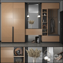 Wardrobe Display cabinets Furniture composition 43 