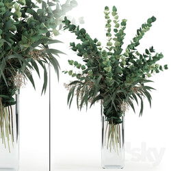 Eucalyptus in tall vase 