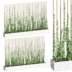 Fitowall Ivy partition 