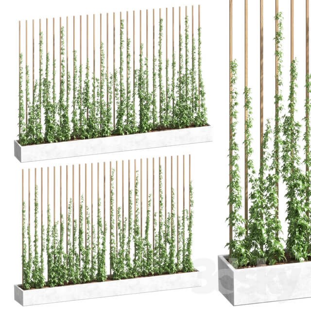 Fitowall Ivy partition