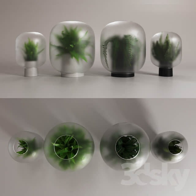 NEBL vases