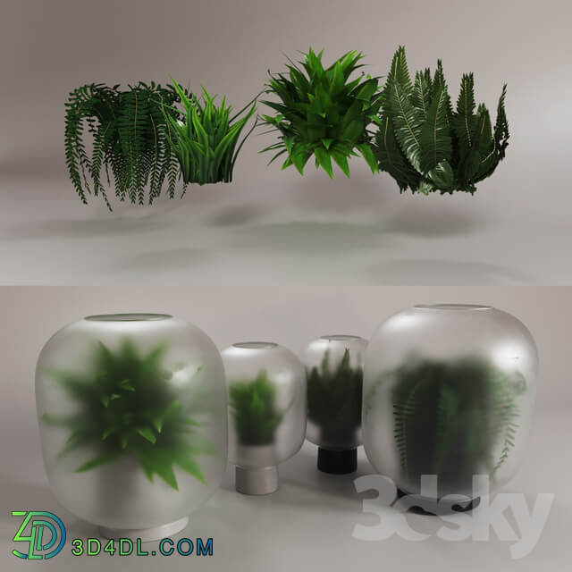 NEBL vases