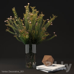 Vertex Decorative 001 