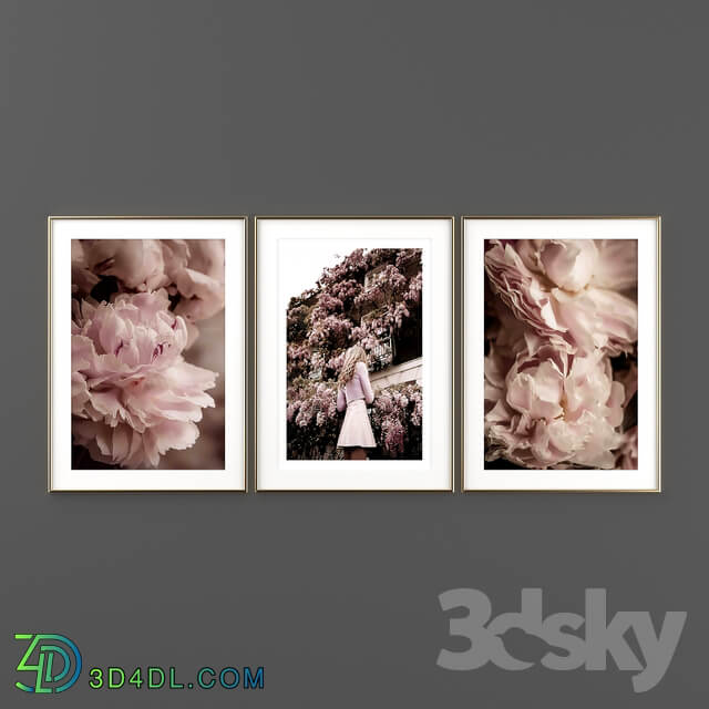 Poster Set Blooming Peony 