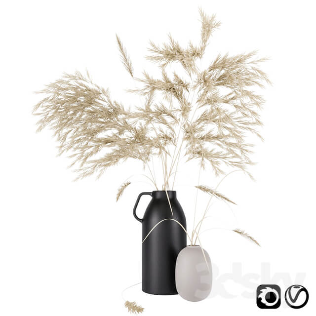 Vases set by H M with pampas grass