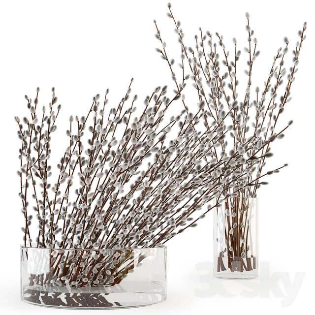 Branches in a vase 006