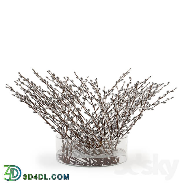 Branches in a vase 006