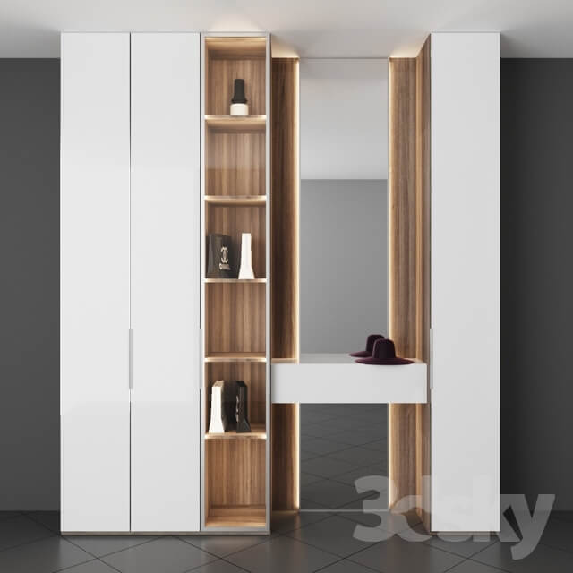 Wardrobe Display cabinets Cabinet in the hall