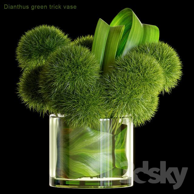 Dianthus green trick vase