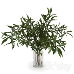 Branches in a vase 007 