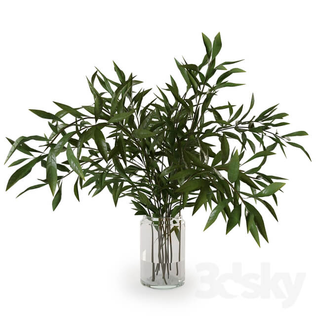 Branches in a vase 007