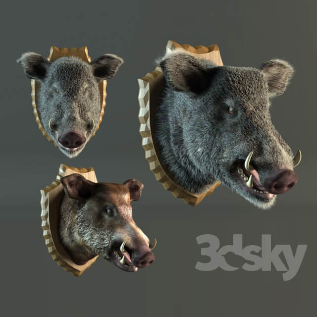Other decorative objects stuffed wild boar