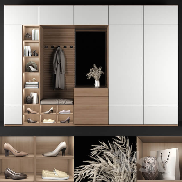 Wardrobe Display cabinets Furniture composition for hallway 69