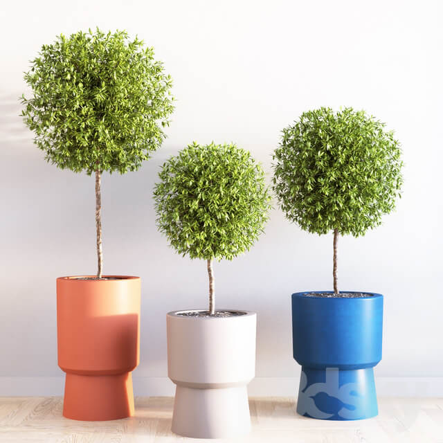 Bishop pedestal planters