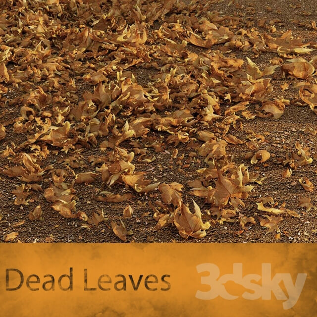 Other architectural elements Dead Leaves