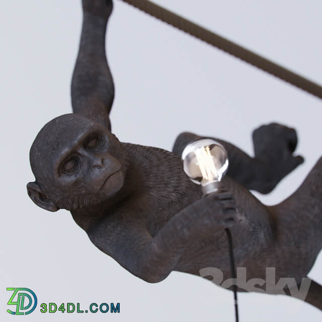 Monkey lamp swing