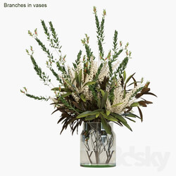 Branches in vases 4 