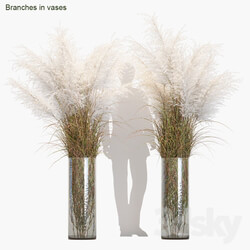 Branches in vases 8 
