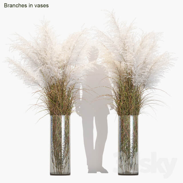 Branches in vases 8