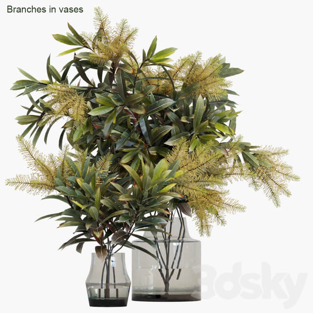 Branches in vases 10
