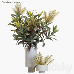 Branches in vases 12 
