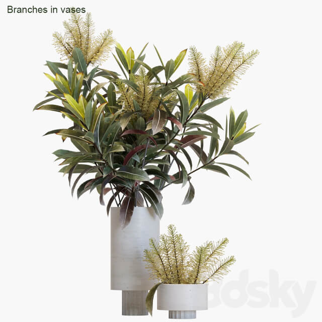 Branches in vases 12