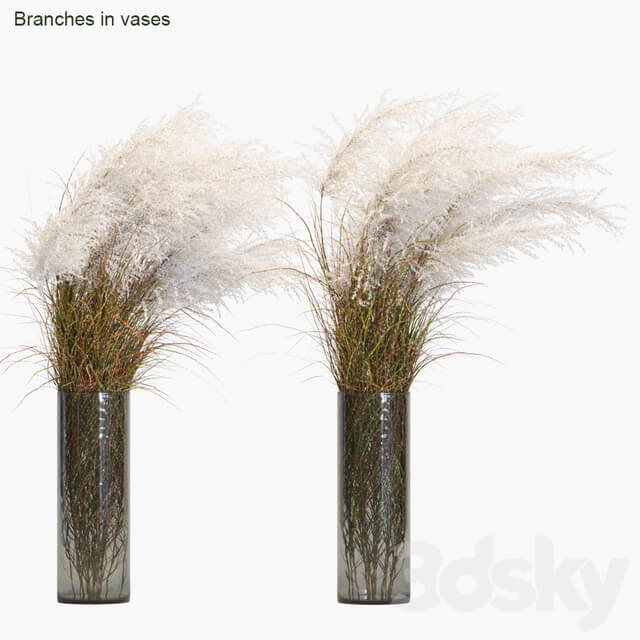 Branches in vases 21