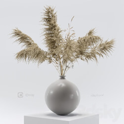 Vase with dried flowers 0001 