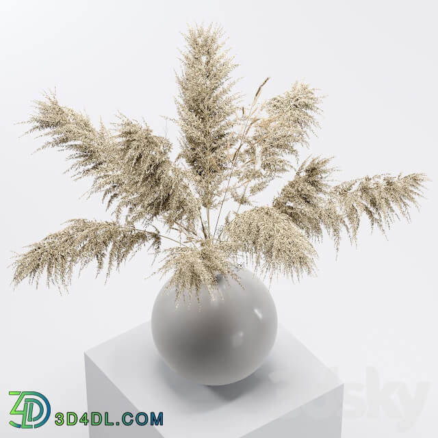 Vase with dried flowers 0001