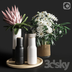 Other decorative objects Flower Set 003 Protea and Roses 