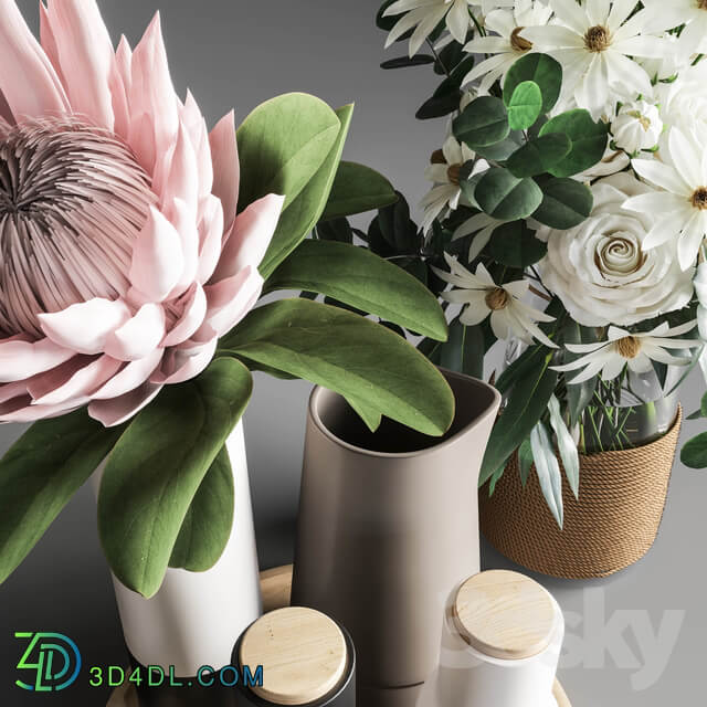 Other decorative objects Flower Set 003 Protea and Roses
