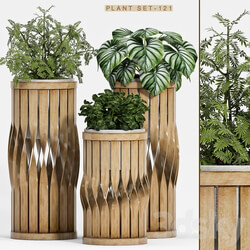 Plant set 121 