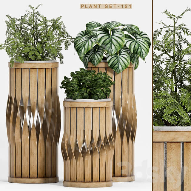 Plant set 121