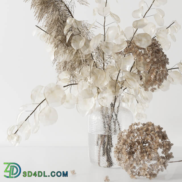 Bouquet with lunaria pampas grass and hydragea