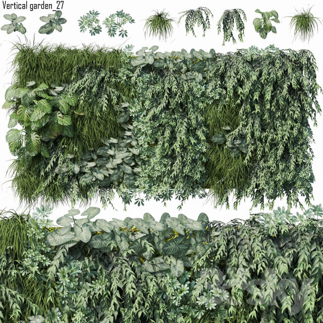 Fitowall Vertical garden 27