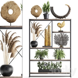 Decorative set 14. Decor shelf tusk pampas grass dried flower coral cactus fern rack loft decor 3D Models 