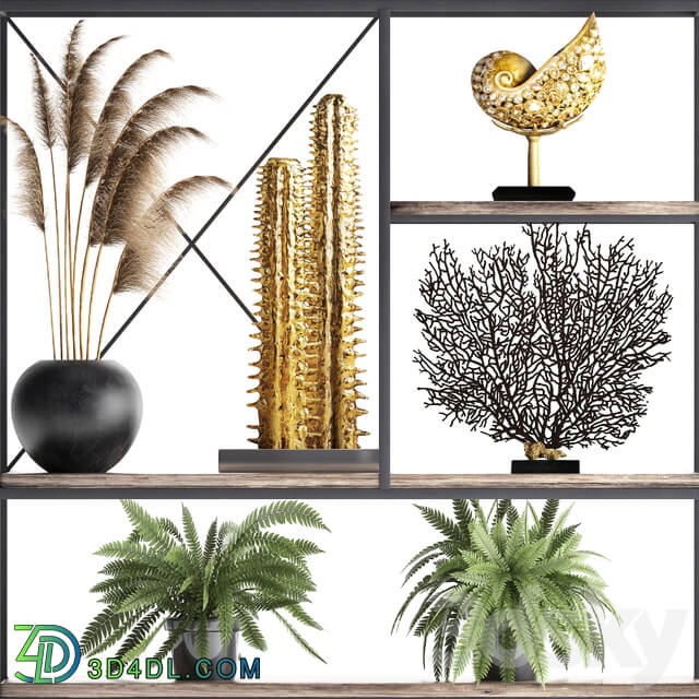 Decorative set 14. Decor shelf tusk pampas grass dried flower coral cactus fern rack loft decor 3D Models