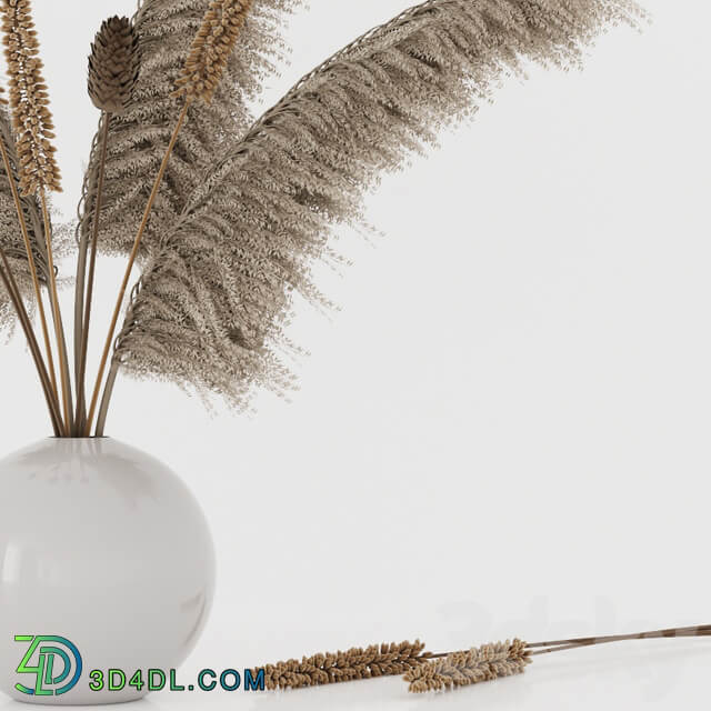 Bouquet with pampas grass and dry plants