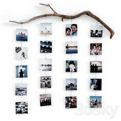 Other decorative objects Photo branch 