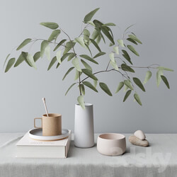 decorative set with eucalyptus branch 